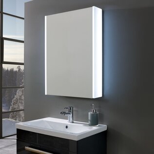 Bathroom Mirror Cabinets