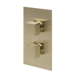 Cube Thermostatic Twin Concealed Shower Valve Brushed Brass 