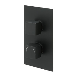 Cube Thermostatic Twin Concealed Shower Valve Matt Black