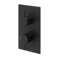 Globe Thermostatic Single Outlet Twin Concealed Shower Valve Matt Black