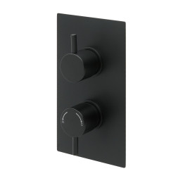 Globe Thermostatic Single Outlet Twin Concealed Shower Valve Matt Black