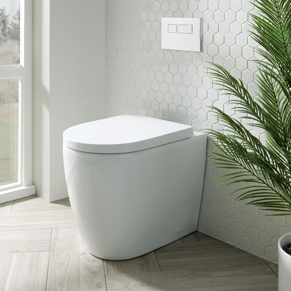 Richmond Back To Wall Toilet with Soft Close Seat