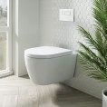 Richmond Wall Hung Toilet with Soft Close Seat