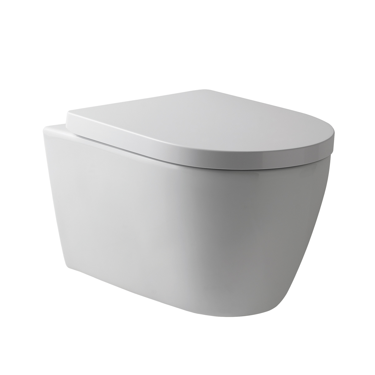 Richmond Wall Hung Toilet with Soft Close Seat