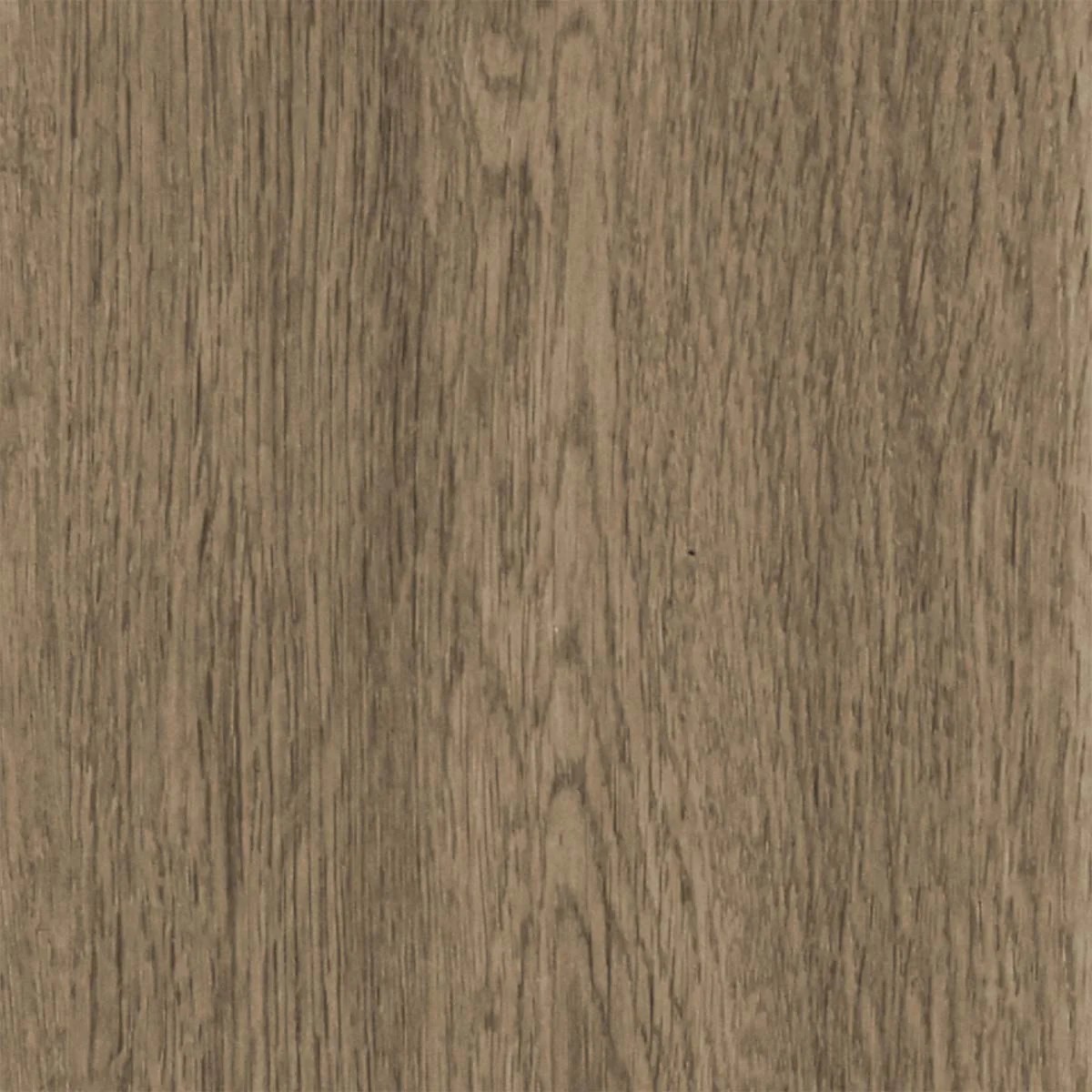 Hydro Step 5G Click LVT Flooring Drift Oak with Underlay