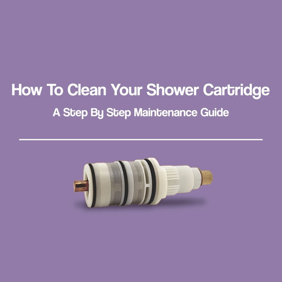 How to Clean your Shower Cartridge